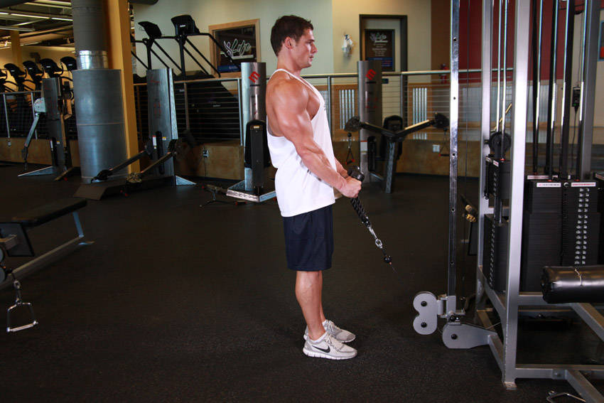 Cable Hammer Curl