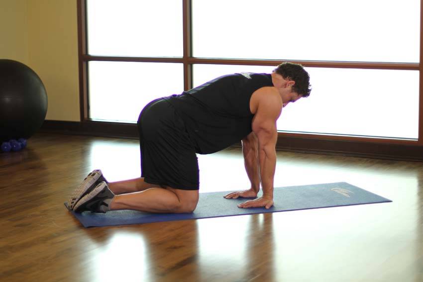 Forearm Stretch