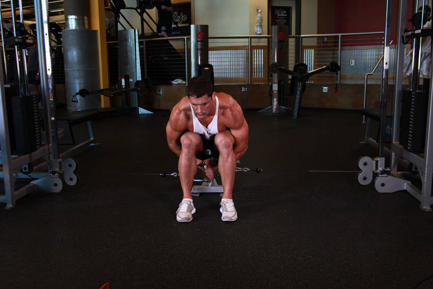 Lateral Raise