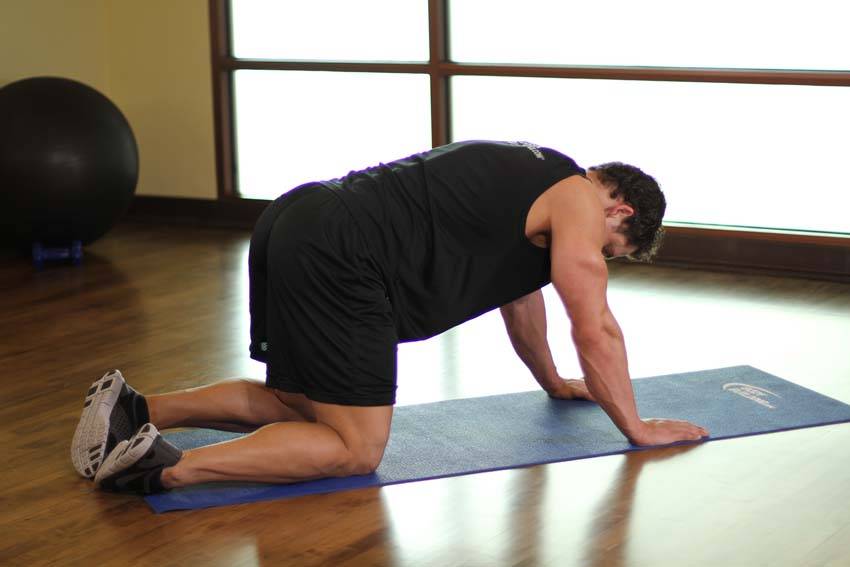 Quad Stretch