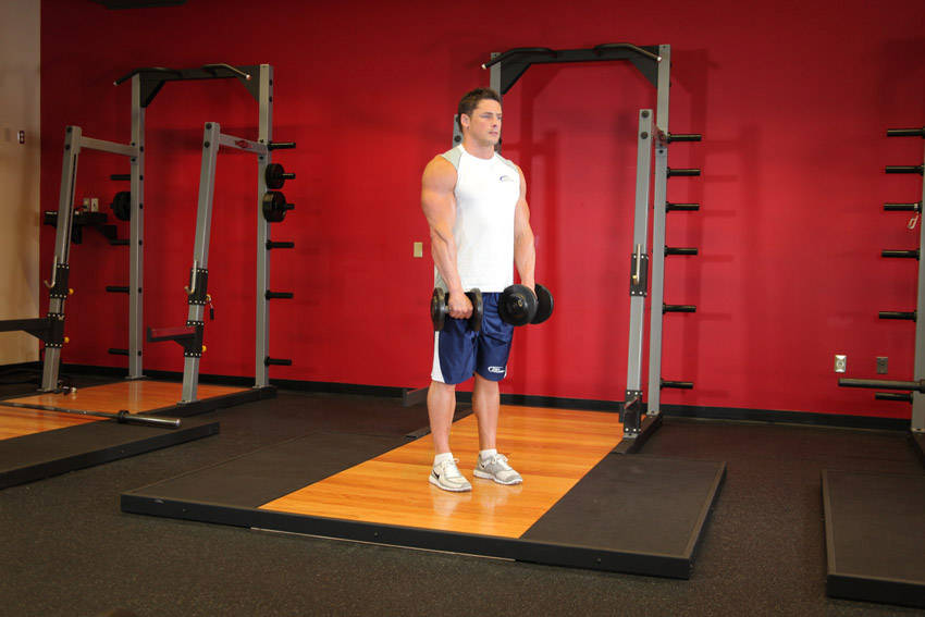 Reverse Curl