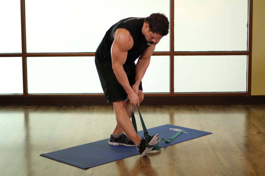 Standing Hamstring Stretch