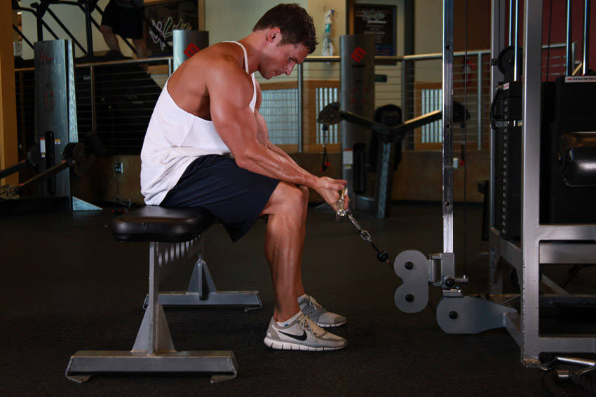 Wrist Curl